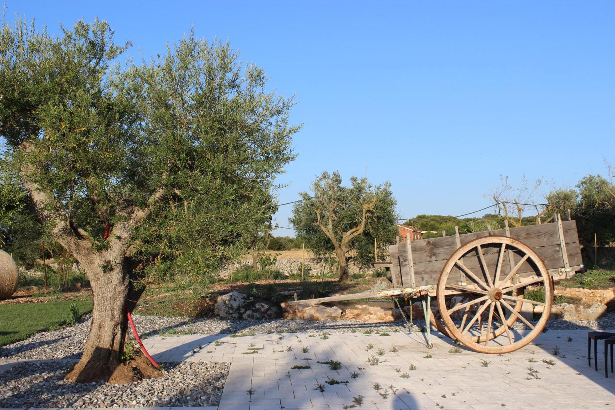 Masseria Stella Gioia Del Colle Kültér fotó